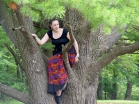 In a Tree